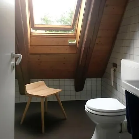 Maisontte In Ehemaliger Scheune Nicht Fuer Montageteams Geeignet דירה